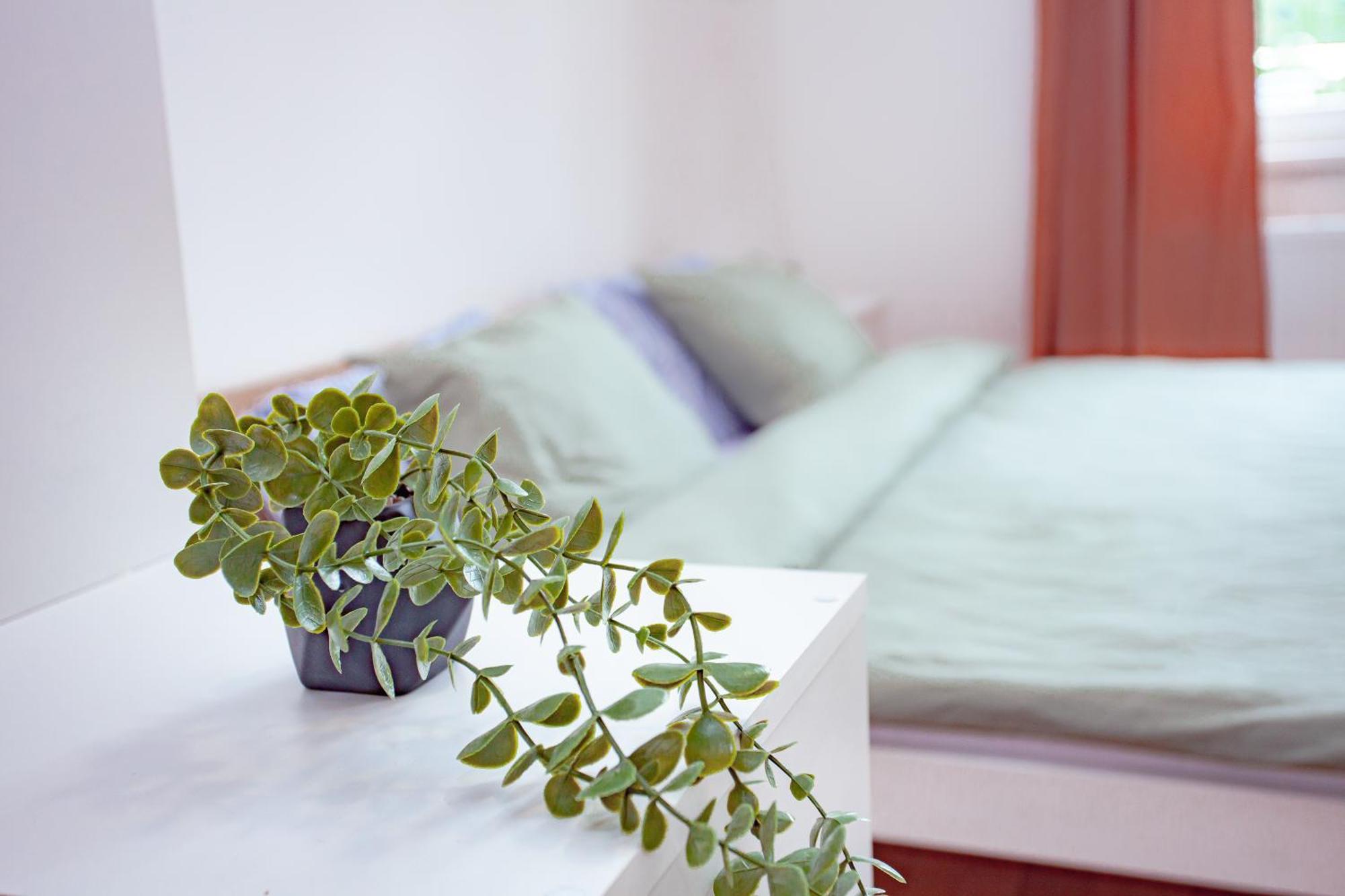 פראג Elegance Apartments מראה חיצוני תמונה